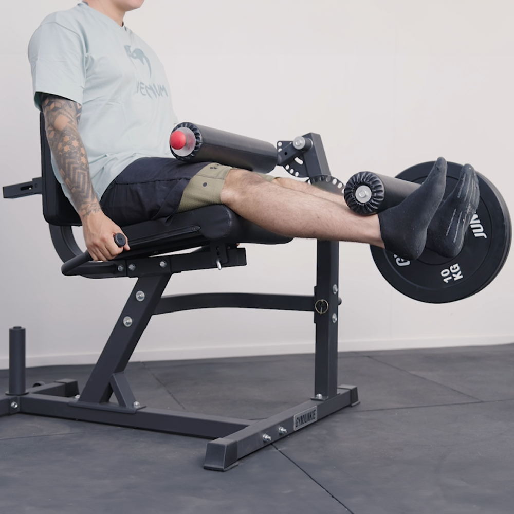 Prodigy Leg Extension & Hamstring Curl Machine