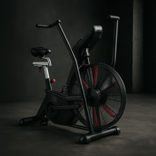 PRODIGY -Hurricane Air Bike V2
